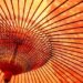 宮本一希の経歴【ベンツの資産家】家族や子供は？舞妓ビジネスを手がけるやり手経営者！